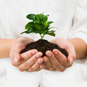 grow Franchise Opportunities